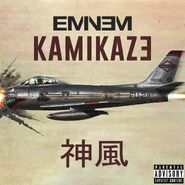 Kamikaze-full-plane