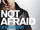 Not Afraid cover.png