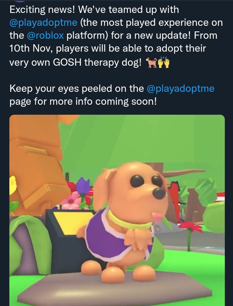 Adopt a cheap therapy dog
