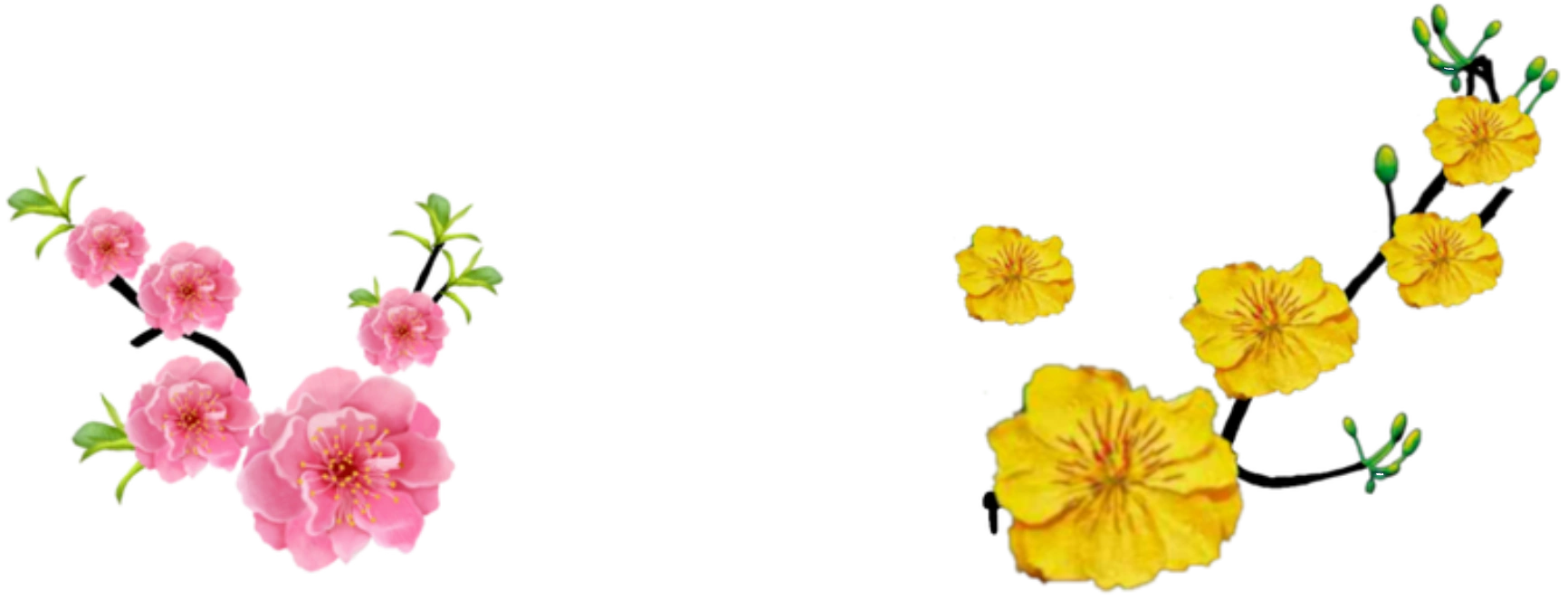 Fix Logo Tết 2021, 2022 của các kênh HTV: | Fandom