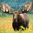 ContemplativeMoose's avatar