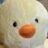 DoveFuji's avatar