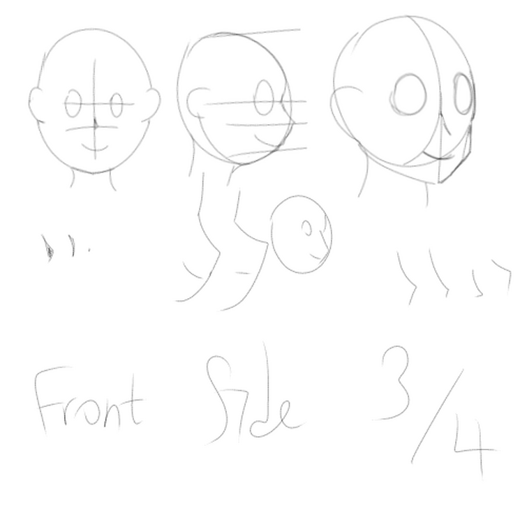 face-and-noses-reference-fandom