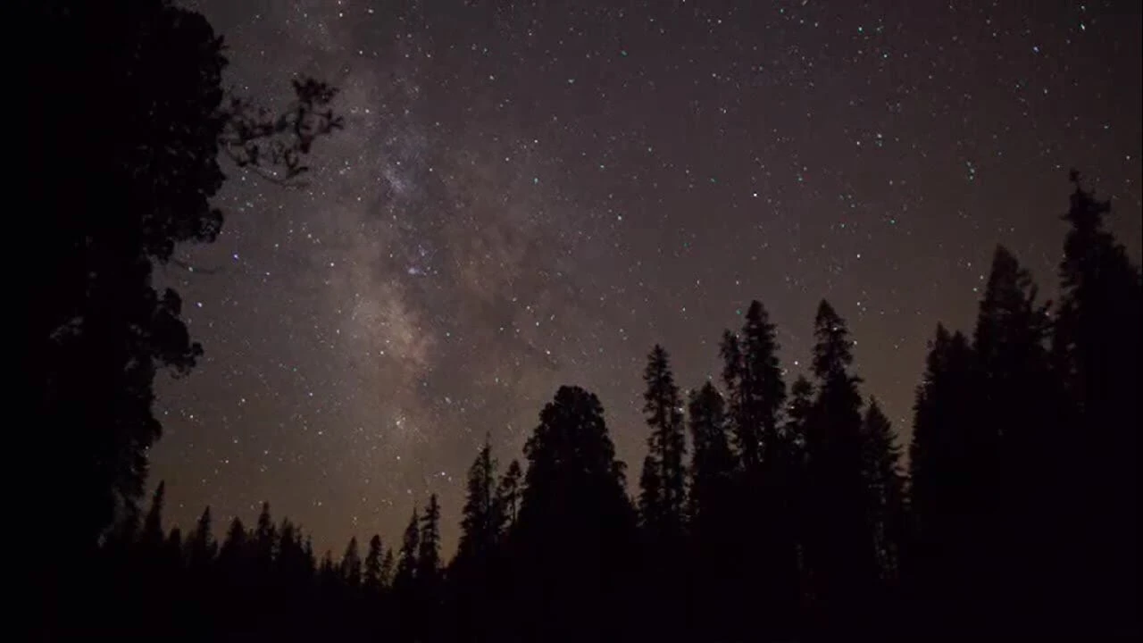 Top Songs for Summer Stargazing Fandom