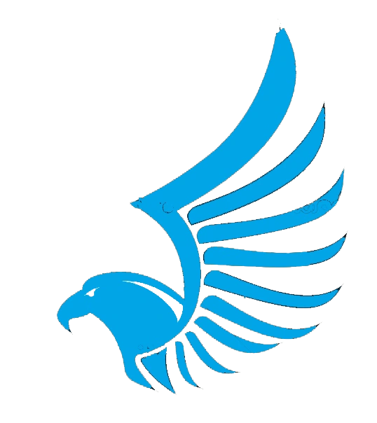 Testingtesting Eagle Wing Wiki Fandom