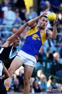 List of West Coast Eagles leading goalkickers - Wikipedia