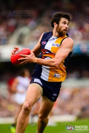 List of West Coast Eagles leading goalkickers - Wikipedia