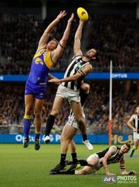 Last-minute AFL ticket sales to cause finals-like scramble