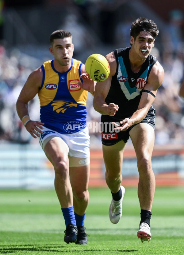 Round 1 2024 | West Coast Eagles Wiki | Fandom