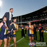 2014 15 Offseason West Coast Eagles Wiki Fandom