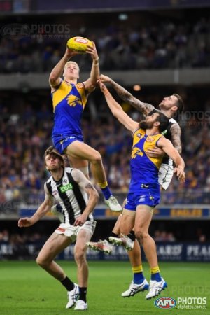 AFL 2020: West Coast Eagles set for home final at Optus Stadium if they  finish fifth or sixth