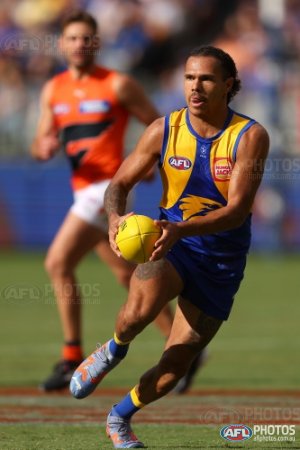 AFL Round Eight – The Good & The Bad: West Coast Eagles