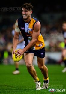 Photo: aflphotos.com.au