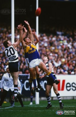 West Coast Eagles 1992 grand final reunion: Player ratings for every Eagle  on the ground in win over Geelong