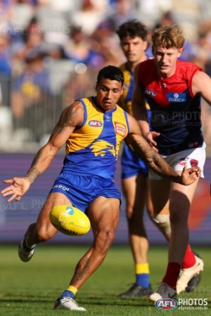 WAFL 2023: West Coast Eagles lose Alec Waterman to back injury for