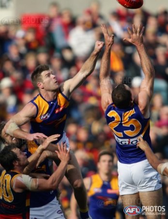 List of West Coast Eagles leading goalkickers - Wikipedia