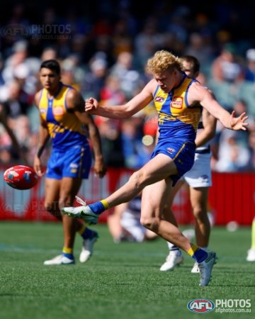 AFL 2023 Round 12 - West Coast v Collingwood