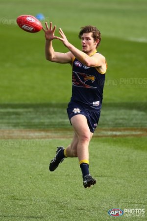 Matthew Allen | West Coast Eagles Wiki | Fandom