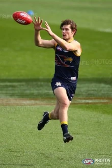 Photo: aflphotos.com.au