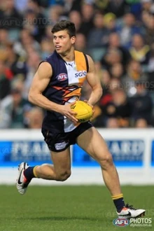 Photo: aflphotos.com.au
