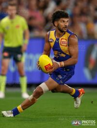 Photo: aflphotos.com.au