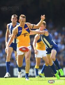 List of West Coast Eagles leading goalkickers - Wikipedia