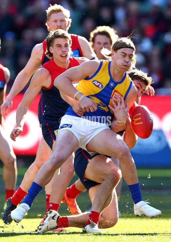 Round 17 2024 | West Coast Eagles Wiki | Fandom
