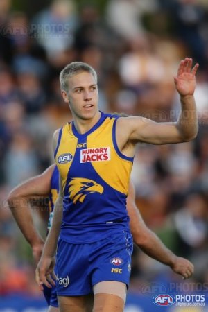 History of the West Coast Eagles - Wikipedia