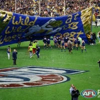 1991 Season West Coast Eagles Wiki Fandom