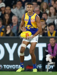 Photo: aflphotos.com.au