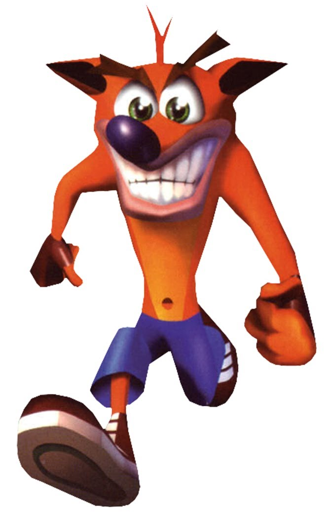 Bandicoot | Earth creatures Wiki | Fandom