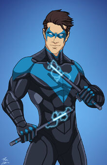 Nightwing Variant 3