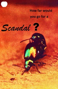 Scandal (Album) Earth-347 Wiki Fandom