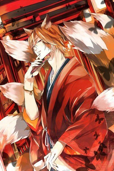 Kitsune and Wolf | Anime fox boy, Nekomimi, Cat girl