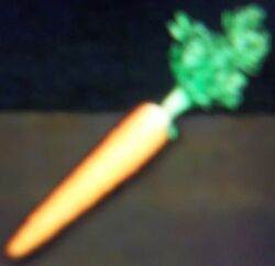 Carrot