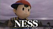 Ness screenshot SSE