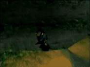 Flint falls down in the Sunshine Forest.