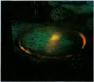 A crop circle within the Sunshine Forest that was discovered by Isaac.