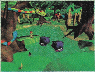 Jungle