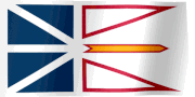 Avalonflagwaving
