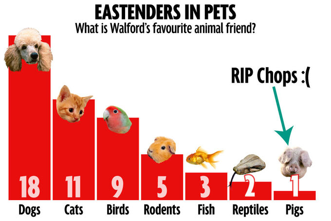 Pets Chart (Feb 2015)