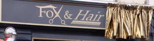 Fox & Hair.png