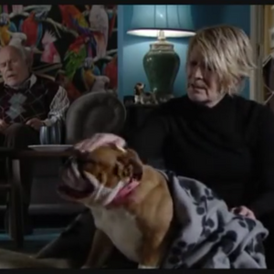 The Carter Branning Puppies Eastenders Wiki Fandom