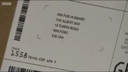 Kim Fox-Hubbard Package (2015)