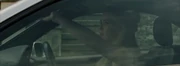 Abi accidentally kills Tramp