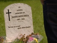 Jamie Mitchell's tombstone.