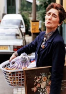 Dot Cotton Promo