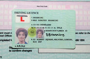 Dot Branning's Driving Licence.