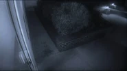 Walford Common Flats (From CCTV)