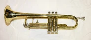 Sonia's Trumpet.jpg (392 KB) Sonia Fowler's Trumpet